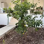 Appartamento Casa Lorma
