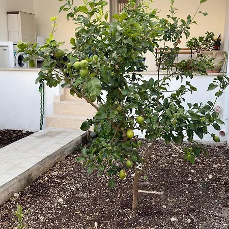 Apartamento Casa Lorma